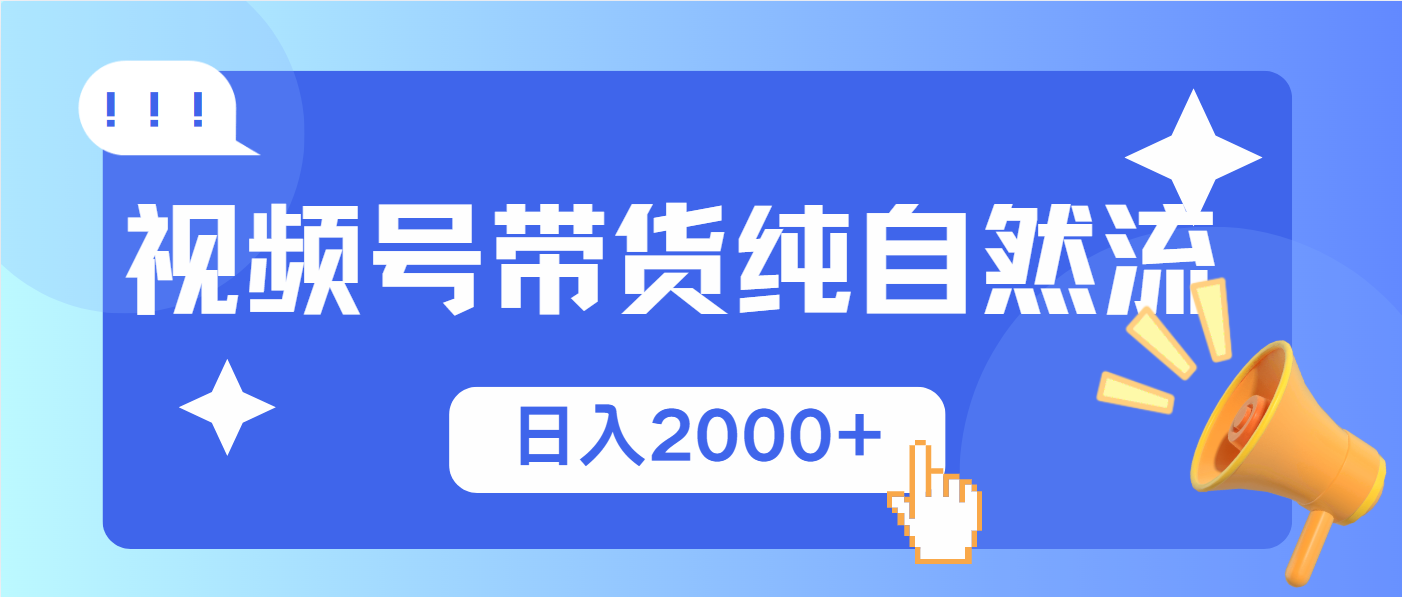视频号带货，纯自然流，起号简单，爆率高轻松日入2000+-赢家共创-资源网-最新项目分享网