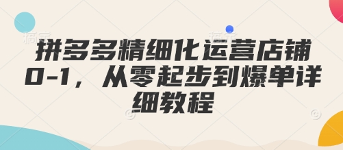 拼多多精细化运营店铺0-1，从零起步到爆单详细教程-赢家共创-资源网-最新项目分享网