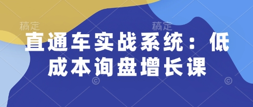 直通车实战系统：低成本询盘增长课，让个人通过技能实现升职加薪，让企业低成本获客，订单源源不断-赢家共创-资源网-最新项目分享网