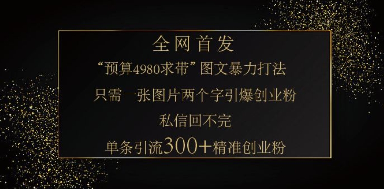 小红书神奇图片引流法，只需一张图，就能单条笔记凭借此方法，轻松引流 300 + 精准创业粉-赢家共创-资源网-最新项目分享网