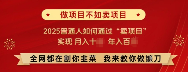 必看，做项目不如卖项目，2025普通人如何通过&ldquo;卖项目&rdquo;实现月入十个，年入百个