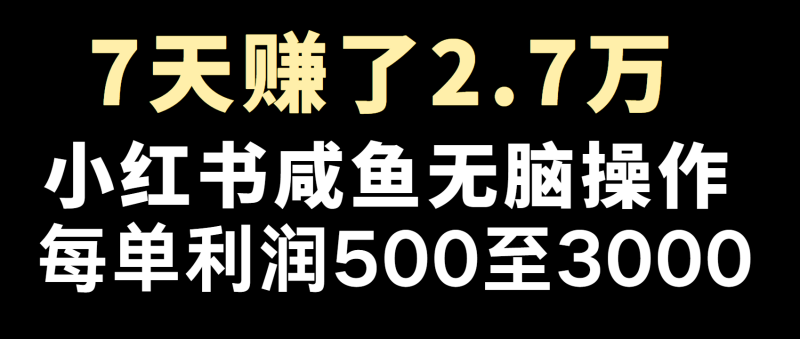 全网首发，7天赚了2.6万，2025利润超级高！-赢家共创-资源网-最新项目分享网