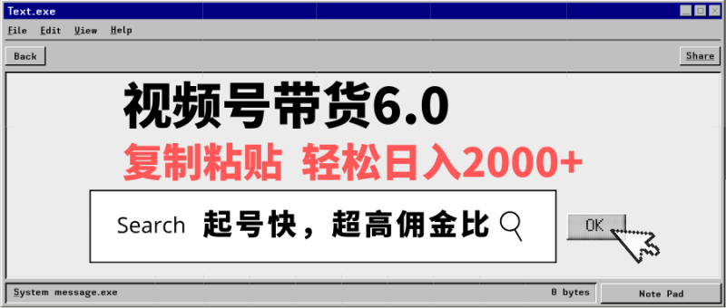 视频号带货6.0，轻松日入2000+，起号快，复制粘贴即可，超高佣金比-赢家共创-资源网-最新项目分享网