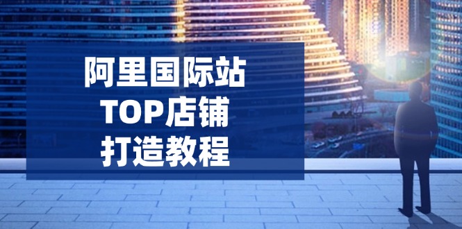 阿里国际站TOP店铺打造教程：涵盖平台到高阶，解决运营难题，提升询盘-赢家共创-资源网-最新项目分享网
