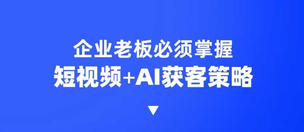 企业短视频AI获客霸屏流量课，6步短视频+AI突围法，3大霸屏抢客策略-赢家共创-资源网-最新项目分享网