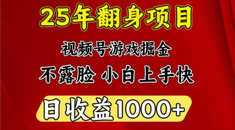 一天收益1000+ 25年开年落地好项目-赢家共创-资源网-最新项目分享网