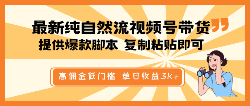 最新纯自然流视频号带货，提供爆款脚本简单 复制粘贴即可，高佣金低门槛，单日收益3K+-赢家共创-资源网-最新项目分享网