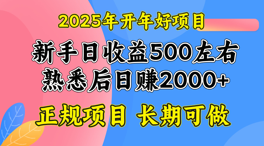 2025开年好项目，单号日收益2000左右-赢家共创-资源网-最新项目分享网
