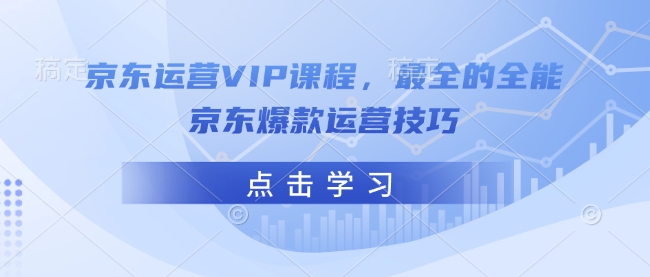 京东运营VIP课程，最全的全能京东爆款运营技巧-赢家共创-资源网-最新项目分享网