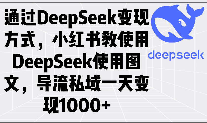通过DeepSeek变现方式，小红书教使用DeepSeek图文，导流私域一天变现1000+-赢家共创-资源网-最新项目分享网
