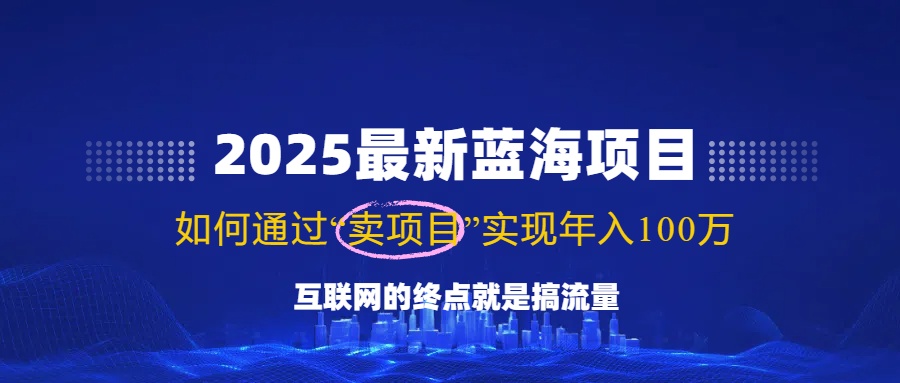 2025最新蓝海项目，零门槛轻松复制，月入10万+，新手也能操作！-赢家共创-资源网-最新项目分享网