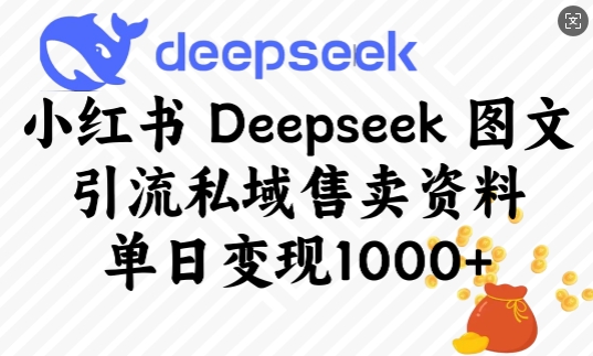小红书Deepseek图文引流私域售卖资料，单日变现多张-赢家共创-资源网-最新项目分享网