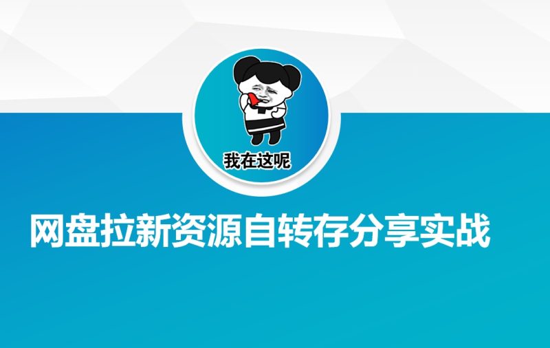网盘拉新资源自动转存分享实战-赢家共创-资源网-最新项目分享网