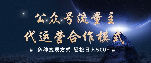 公众号流量主代运营  多种变现方式 轻松日入5张【揭秘】-赢家共创-资源网-最新项目分享网