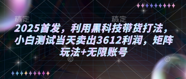 2025首发，利用黑科技带货打法，小白测试当天卖出3612利润，矩阵玩法+无限账号【揭秘】-赢家共创-资源网-最新项目分享网