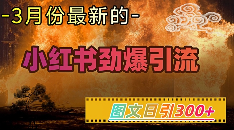 小红书超劲爆引流手段，图文日引300+轻松变现1W-赢家共创-资源网-最新项目分享网