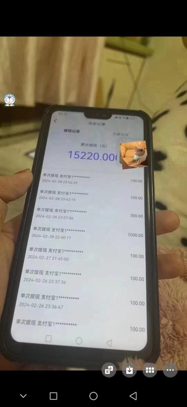 聊天员项目拆解，零门槛新人小白快速上手，轻松月入破w！-赢家共创-资源网-最新项目分享网