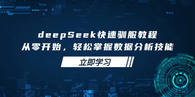 deepSeek快速驯服教程，从零开始，轻松掌握数据分析技能-赢家共创-资源网-最新项目分享网