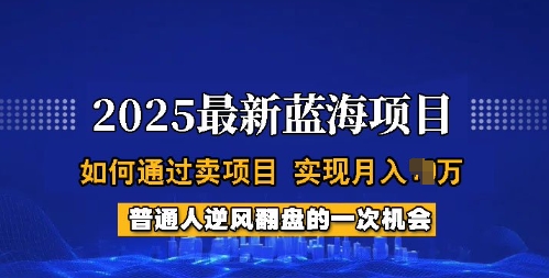 2025蓝海项目，普通人如何通过卖项目，实现月入过W，全过程【揭秘】-赢家共创-资源网-最新项目分享网