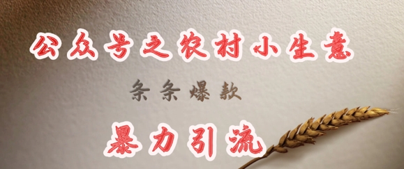 deepseek写农村小项目，条条爆款，暴力引流-赢家共创-资源网-最新项目分享网