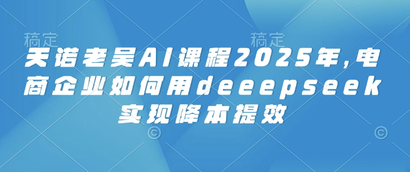 天诺老吴AI课程2025年，电商企业如何用deeepseek实现降本提效-赢家共创-资源网-最新项目分享网
