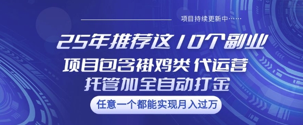 25年推荐这10个副业项目包含褂鸡类、代运营托管类、全自动打金类【揭秘】-赢家共创-资源网-最新项目分享网
