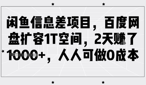 闲鱼信息差项目，百度网盘扩容1T空间，2天收益1k+，人人可做0成本-赢家共创-资源网-最新项目分享网