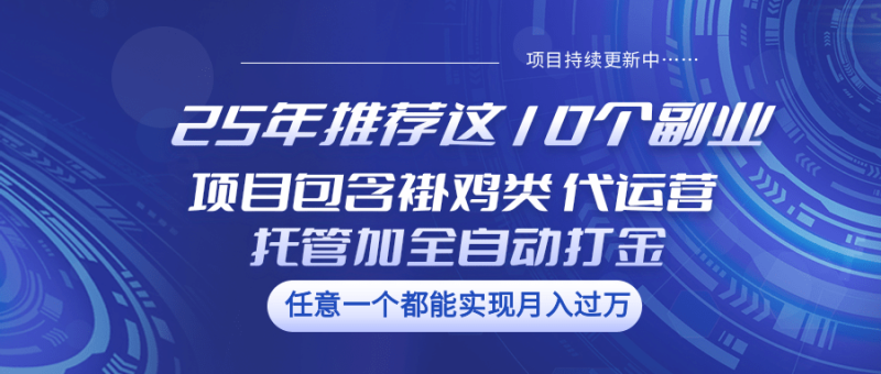 25年推荐这10个副业 项目包含褂鸡类、代运营托管类、全自动打金类-赢家共创-资源网-最新项目分享网