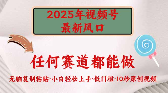 2025年视频号新风口，低门槛只需要无脑执行-赢家共创-资源网-最新项目分享网