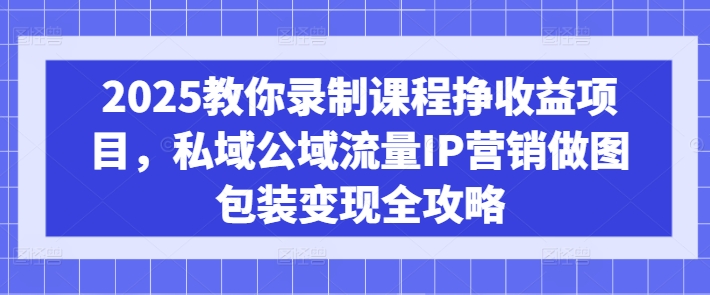 2025教你录制课程挣收益项目，私域公域流量IP营销做图包装变现全攻略-赢家共创-资源网-最新项目分享网