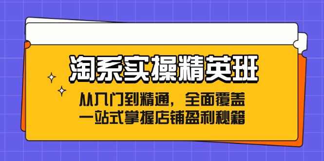 （12276期）淘系实操精英班：从入门到精通，全面覆盖，一站式掌握店铺盈利秘籍-赢家共创-资源网-最新项目分享网